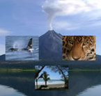 11 Nights Costa Rica Rainforest & Wildlife Package