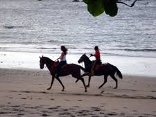 Horseback Riding Jungle and Beach in Playa Flamingo Costa Rica 