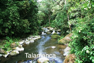 Talamanca National Park